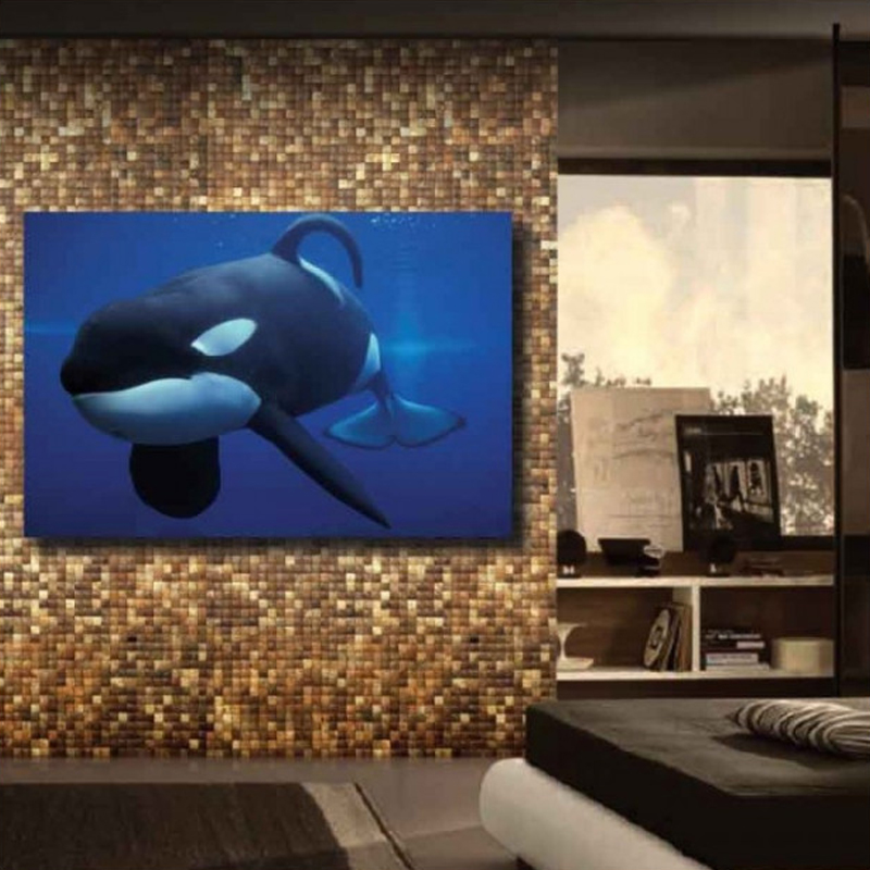Πίνακας σε καμβά με Ζώα Φονική φάλαινα